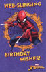 Picture of WEB-SLINING BIRTHDAY WISHES SPIDER-MAN